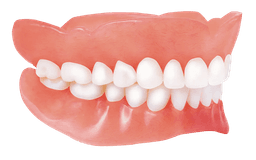 Premium Dentures